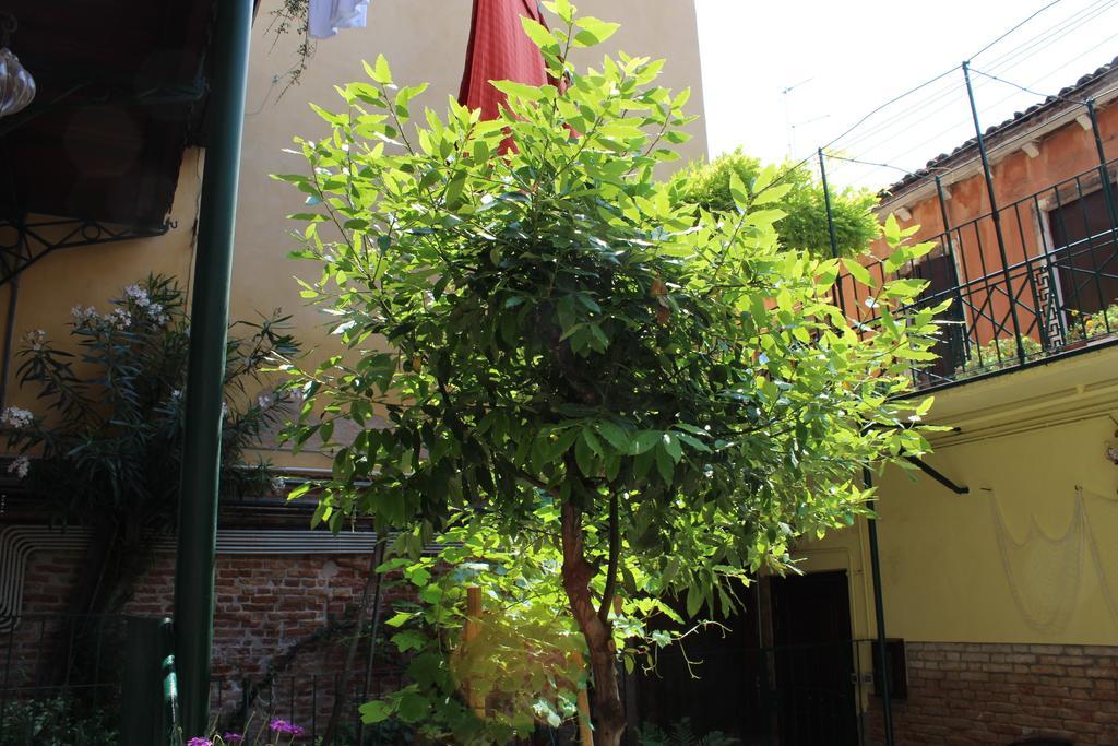 San Giacomo Apartment ヴェネツィア 部屋 写真